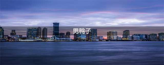 “开心鸭”和“迟到鸭”的爱情故事(男鸭子)
