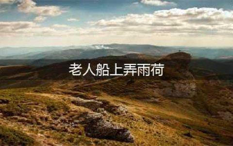 老人船上弄雨荷第十二集深情演绎蹒跚岁月里的坚韧之钢(老人船上弄雨荷)