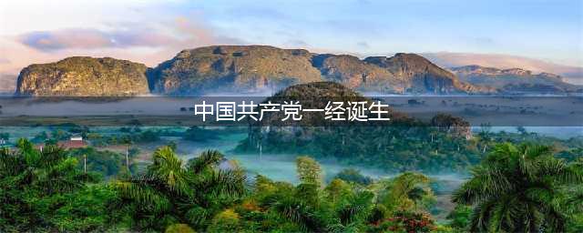 实现中华民族伟大复兴(中国共产党一经诞生)