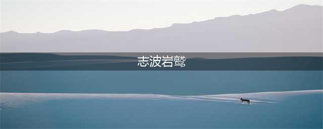 《境界灵压对决》志波岩鹫攻略 属性详细介绍
