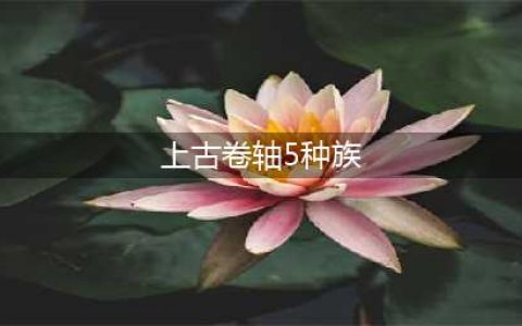 《上古卷轴5》怎么改变种族 改变种族方法操作教程(上古卷轴5种族)