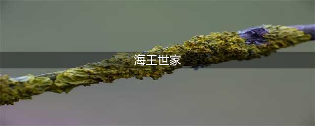 海王世家竟然出外卖了！人均40+吃到葛优躺~(海王世家)