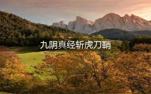 《九阴真经》金虎噬刃刀鞘怎么样 金虎噬刃刀鞘武器外观图鉴
