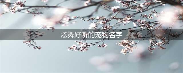 QQ炫舞宠物名字该怎么取 好听的宠物名字大盘点