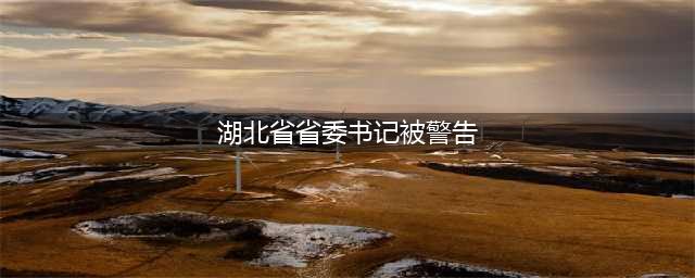 湖北省委主要负责同志职务调整 王蒙徽任湖北省委书记(湖北省省委书记被警告)