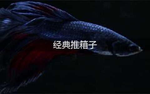 经典推箱子游戏免费下载推荐前十名2022 好玩的推箱子游戏合集(经典推箱子)