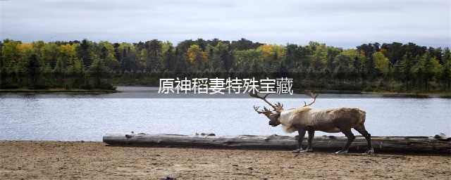 原神稻妻特殊宝藏在哪 原神稻妻特殊宝藏位置