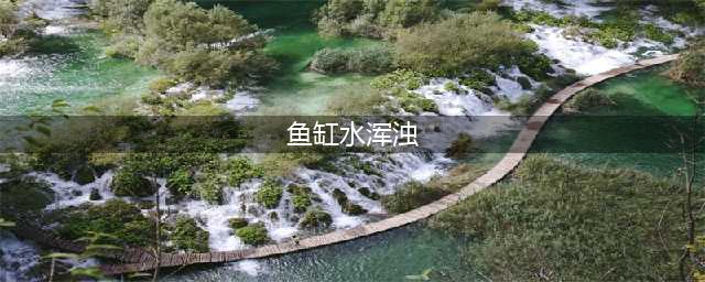给力！鱼缸水质浑浊或有6种可能原因，认真对待吧！~(鱼缸水浑浊)