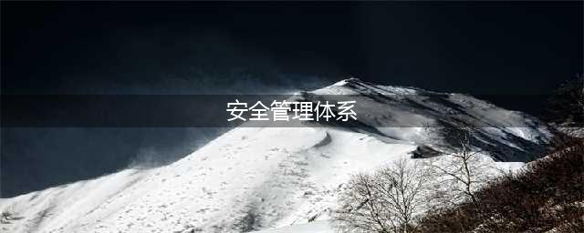 赛飞特专家解读GB/T 43500-2023《安全管理体系 要求》(安全管理体系)