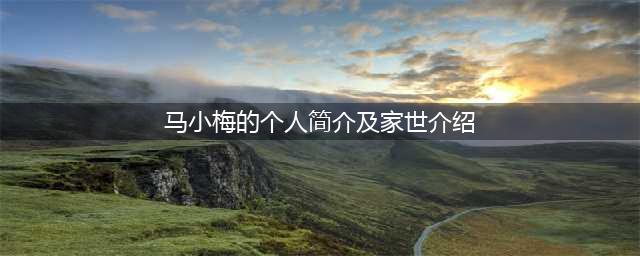 汪小菲女友马小梅身世揭秘(马小梅的个人简介及家世介绍)