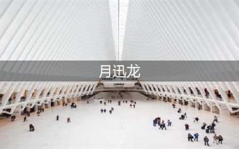 怪物猎人崛起曙光月迅龙详解