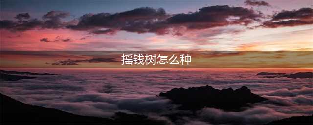 《动物之森》怎么种摇钱树 摇钱树种植教学(摇钱树怎么种)
