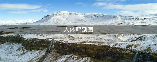 全套高清人体解剖图，三观不正者拒看！(人体解剖图)