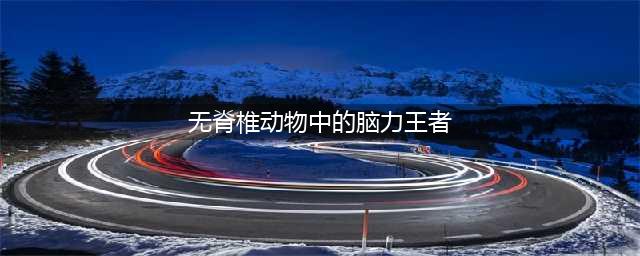 考考你：以下哪个是无脊椎动物中的脑力王者？蚂蚁森林神奇海洋(无脊椎动物中的脑力王者)