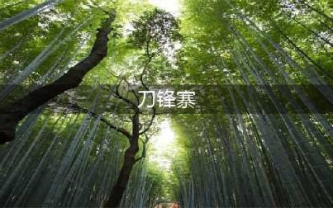 《CF手游》刀王排位模式攻略 刀王排位地图解析(刀锋寨)