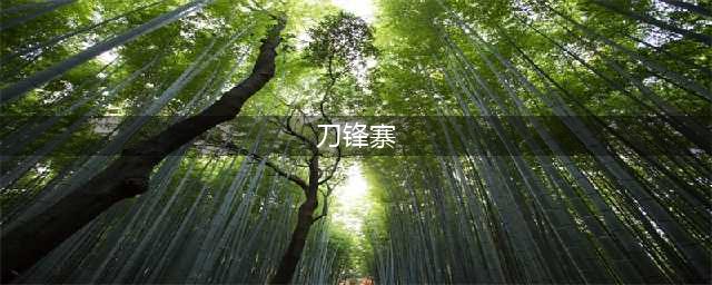 《CF手游》刀王排位模式攻略 刀王排位地图解析(刀锋寨)