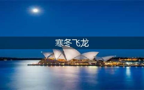 《dota自走棋》寒冬飞龙棋子怎么玩 寒冬飞龙棋子玩法技巧(寒冬飞龙)