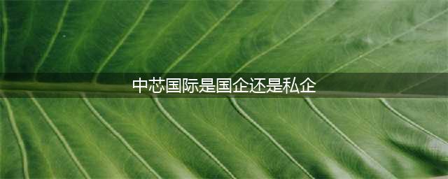 中芯国际到底是台企还是国企？结果可能令你意想不到！(中芯国际是国企还是私企)