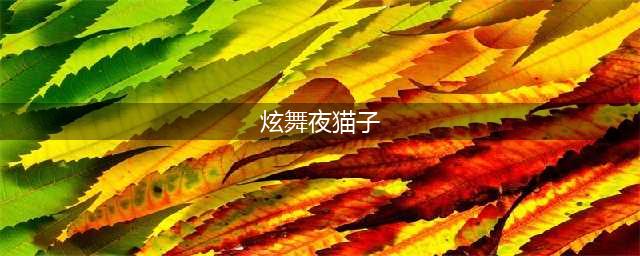 《QQ炫舞》称号怎么获取 炫舞称号大全(炫舞夜猫子)