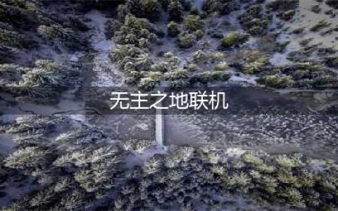 无主之地3怎么在游戏里联机 联机方法介绍