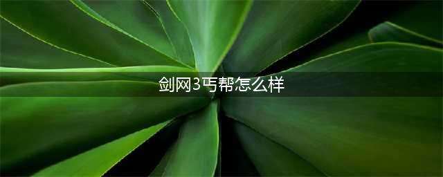 剑网3丐帮定位强弱解析 剑网3丐帮怎么样(剑网3丐帮怎么样)