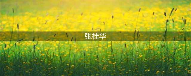 张桂华已任湖北省乡村振兴局局长(张桂华)