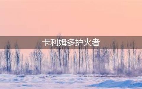《魔兽世界怀旧服》火焰节卡利姆多的火焰任务怎么做 任务完成流程攻略(卡利姆多护火者)