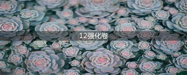 《DNF》12黄金装备强化卷价格(12强化卷)
