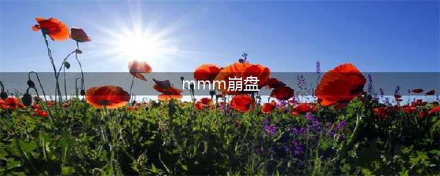 “世界最大庞氏骗局”MMM出现崩盘信号(mmm崩盘)