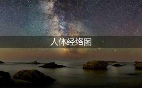人体十四条经络穴位图谱（建议收藏）(人体经络图)