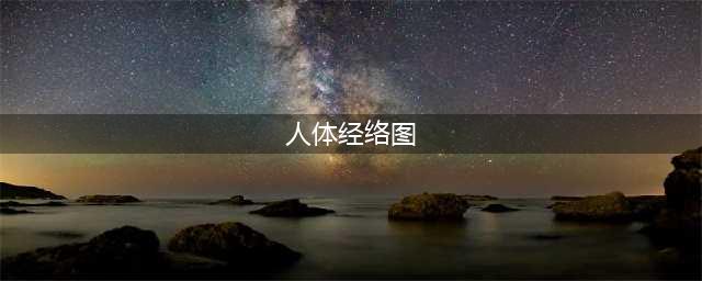 人体十四条经络穴位图谱（建议收藏）(人体经络图)