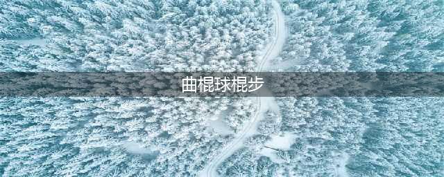 视界网|曲棍球的握棍法和击球(曲棍球棍步)