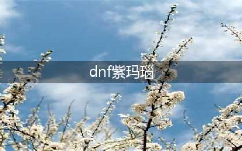 DNF紫玛瑙在哪买 获取途径详细说明(dnf紫玛瑙)