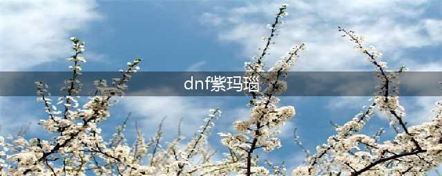 DNF紫玛瑙在哪买 获取途径详细说明(dnf紫玛瑙)