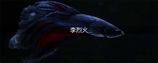 《全明星激斗》李烈火角色介绍
