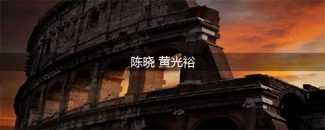 陈晓往事风波再起：与前首富黄光裕的恩怨情仇(陈晓 黄光裕)