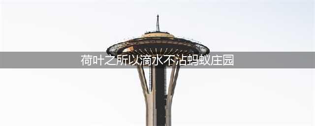 荷叶之所以“滴水不沾”，主要是因为它表面的什么特点？蚂蚁庄园(荷叶之所以滴水不沾蚂蚁庄园)