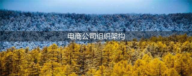 5种电子商务团队组织架构模型(电商公司组织架构)
