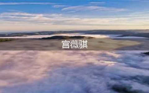 独家揭秘洋河蓝色经典广告美女真面目，这回不要看背影了！(宫薇骐)