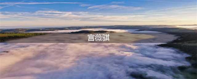 独家揭秘洋河蓝色经典广告美女真面目，这回不要看背影了！(宫薇骐)