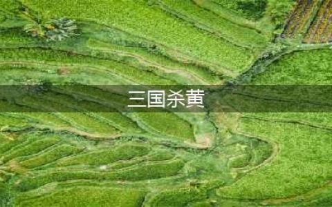 《三国杀》黄月英如何获取 黄月英获取攻略(三国杀黄)