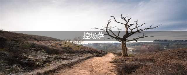 炉石传说控场青海萨的卡组分析 黄金赛卡组推荐