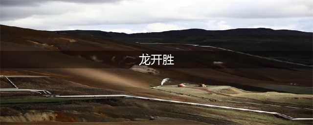 著名书法家龙开胜作品欣赏(龙开胜)