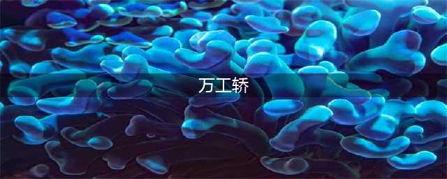 镇馆之宝 | 万工轿：世界上最豪华的大花轿！(万工轿)