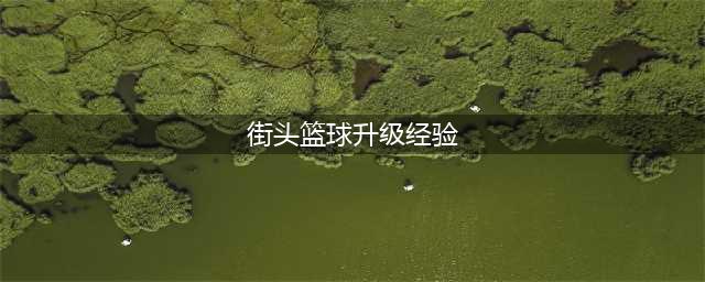 街头篮球手游怎么样才能快速升级 街头篮球手游快速升级方法