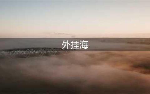 大航海探险物语挂海流怎么玩 挂海流玩法技巧介绍(外挂海)