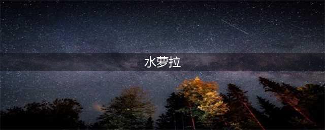 日本演员水咲萝拉现身健身馆，场面爆炸，连教练都Hold不住(水萝拉)
