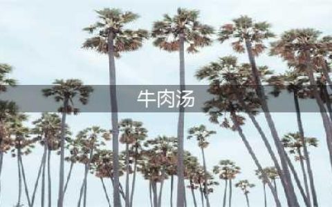 牛肉汤17种做法，汤色清亮鲜香入口，汤鲜味更美(牛肉汤)