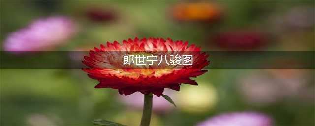 清工画师 郎世宁——《八骏图》(郎世宁八骏图)