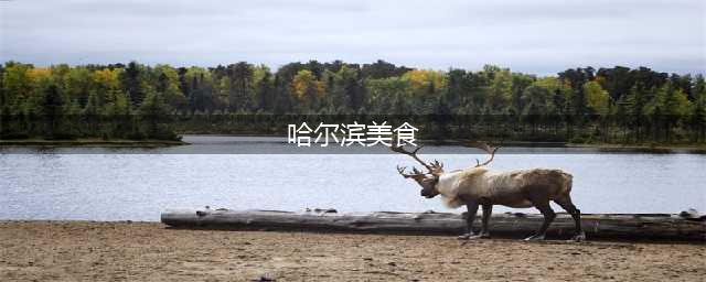 哈尔滨美食攻略，哈尔滨必吃八大美食(哈尔滨美食)